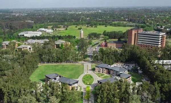 UA