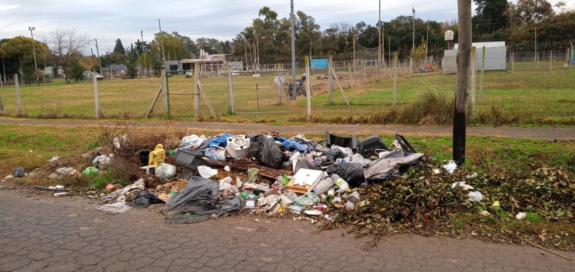 WhatsApp Image 2024-06-05 at 09.10.15