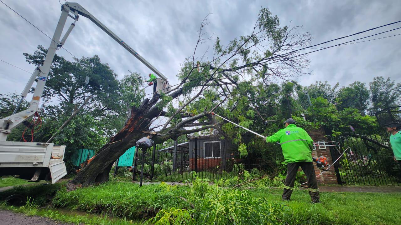 WhatsApp Image 2023-12-17 at 20.23.12