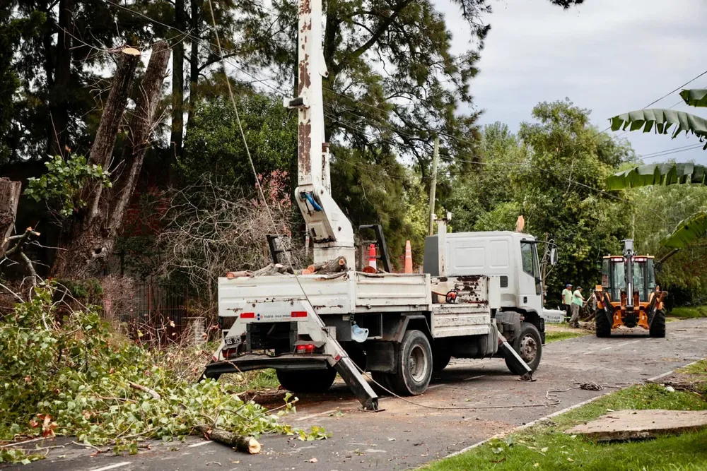 WhatsApp Image 2026-03-17 at 18.35.21