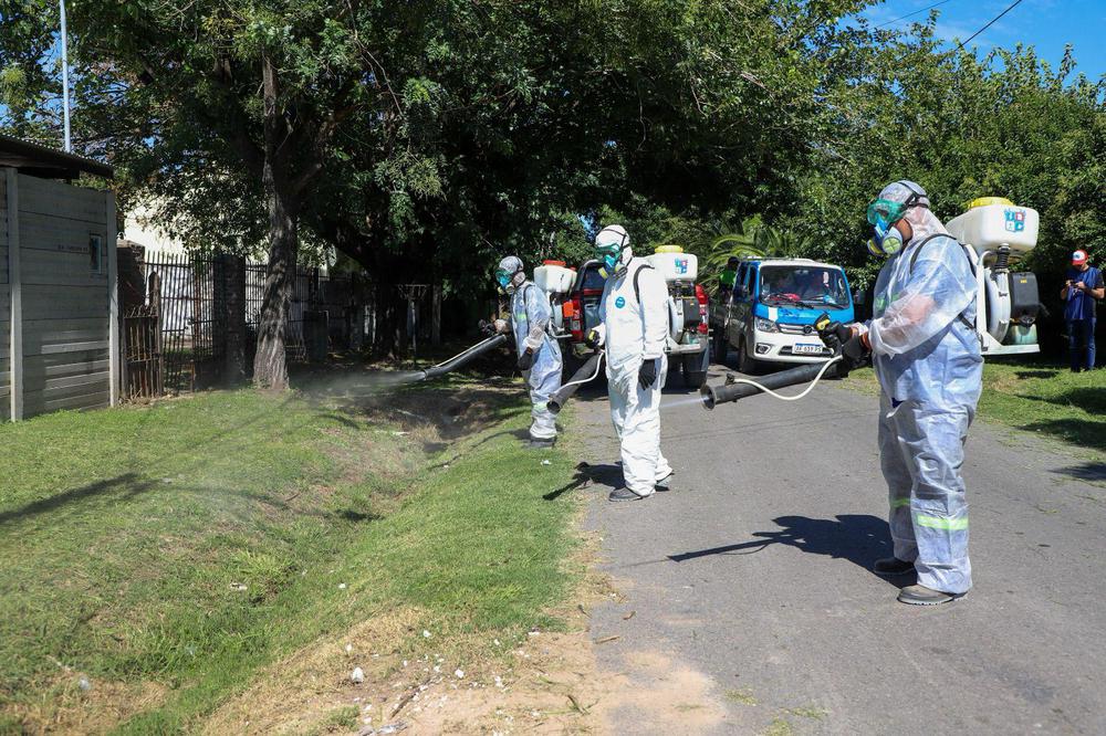 WhatsApp Image 2024-03-11 at 17.20.35