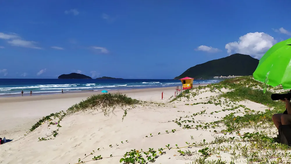 FLORIPA
