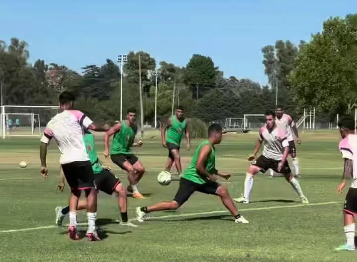 WhatsApp Image 2026-02-09 at 08.47.16