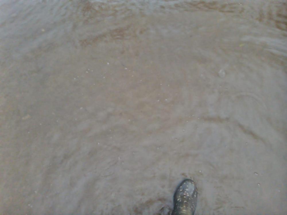 WhatsApp Image 2023-08-17 at 17.11.17