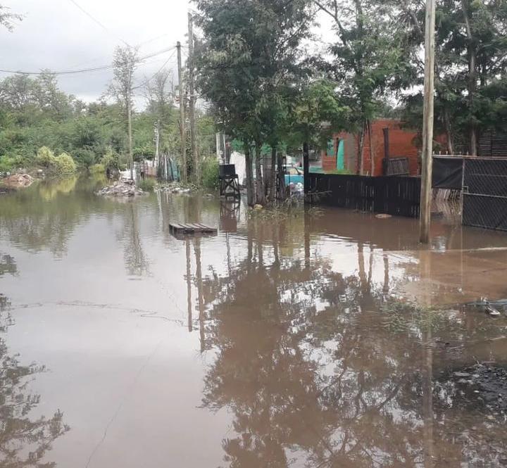 WhatsApp Image 2024-03-14 at 19.57.55