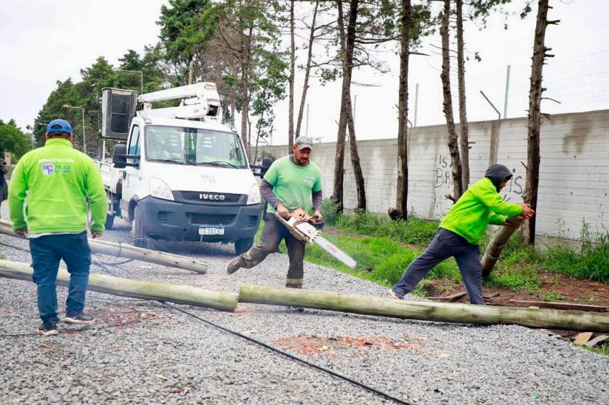 367fff0d-94a8-4a3d-ae74-c0328e6c76cb