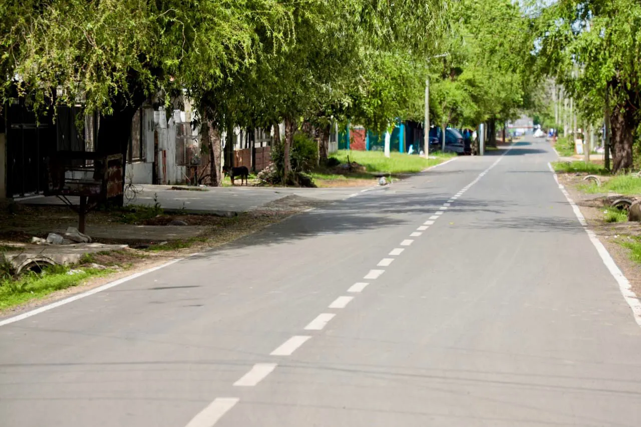 WhatsApp Image 2025-10-16 at 17.27.14