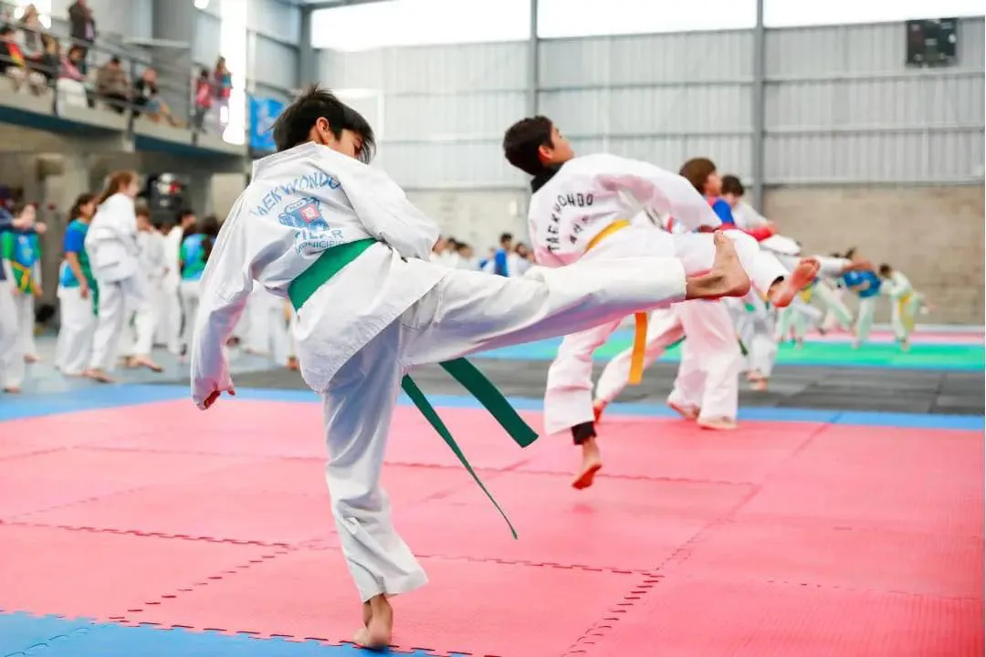 Liga Municipal de Taekwondo 8