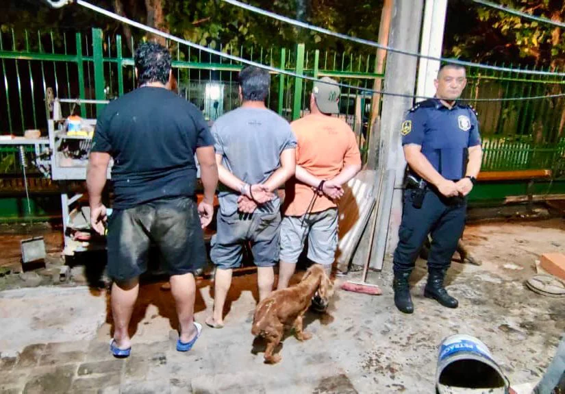 WhatsApp Image 2026-03-21 at 13.23.39