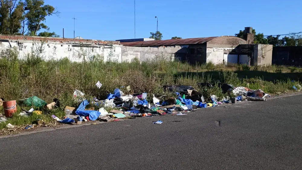 WhatsApp Image 2026-01-03 at 08.18.28 (1)