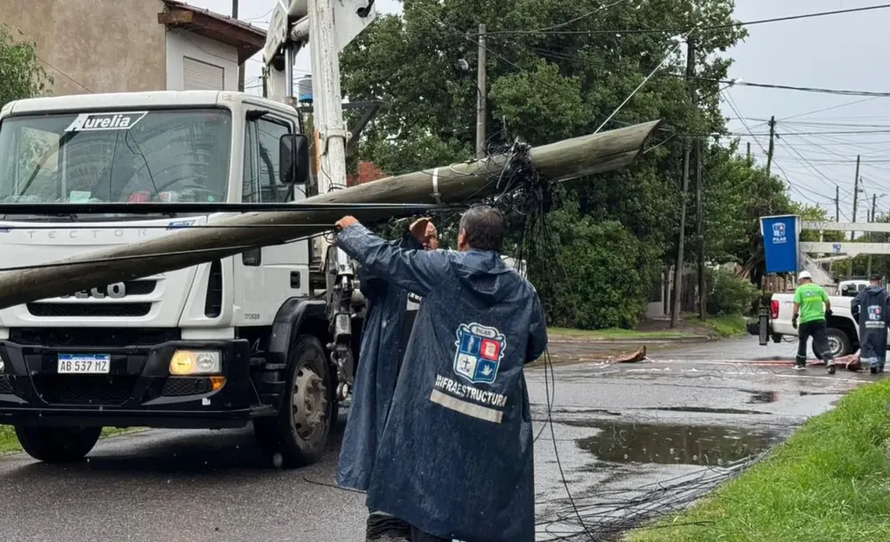 WhatsApp Image 2025-02-11 at 13.05.56