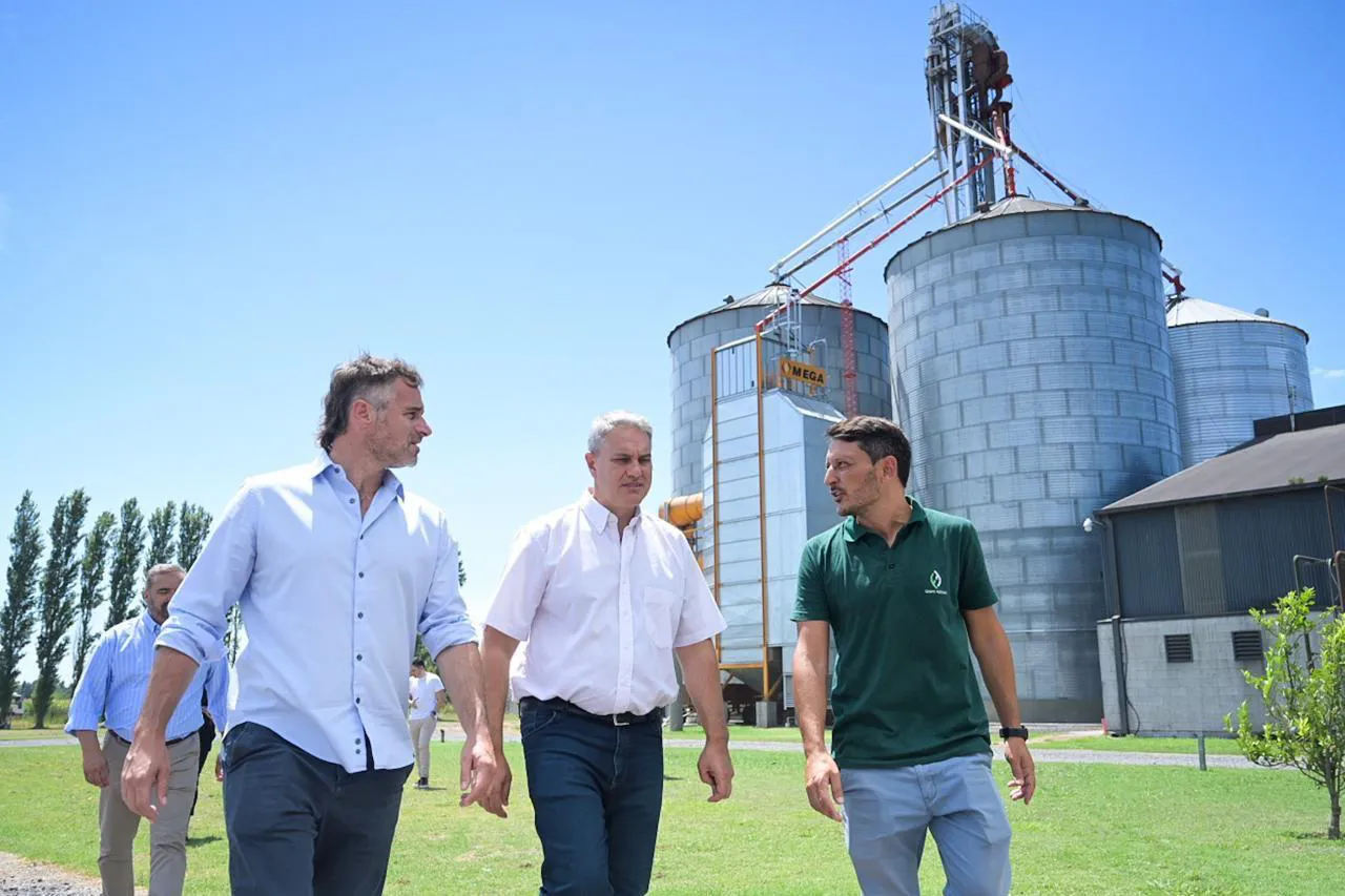 WhatsApp Image 2025-01-23 at 18.43.48