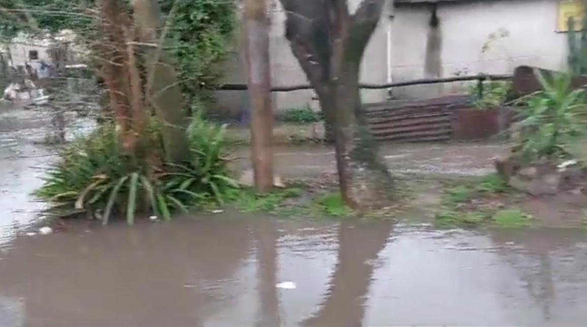 WhatsApp Image 2023-08-17 at 17.37.39