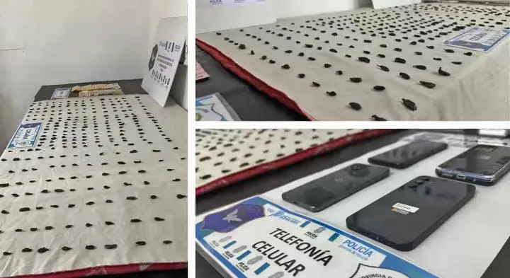 WhatsApp Image 2025-08-30 at 15.22.42