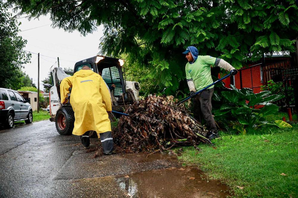 WhatsApp Image 2024-04-15 at 14.18.34