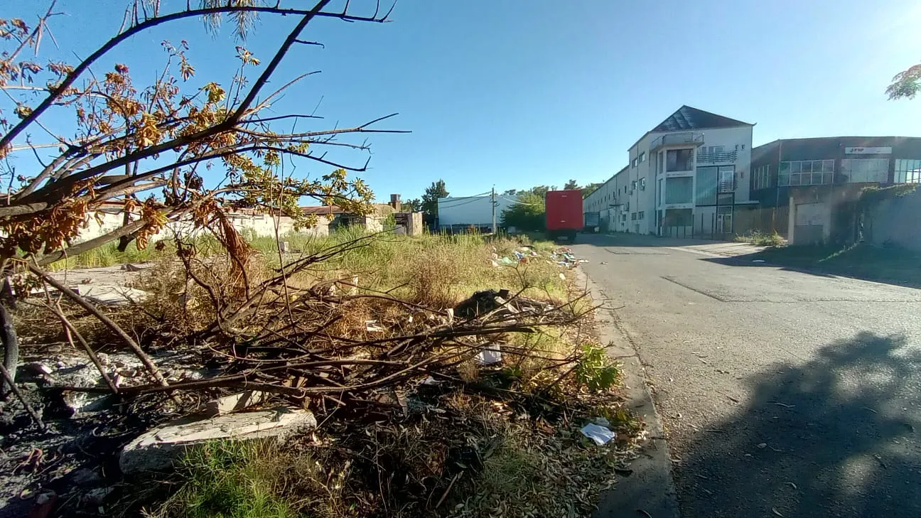 WhatsApp Image 2026-01-03 at 08.18.28