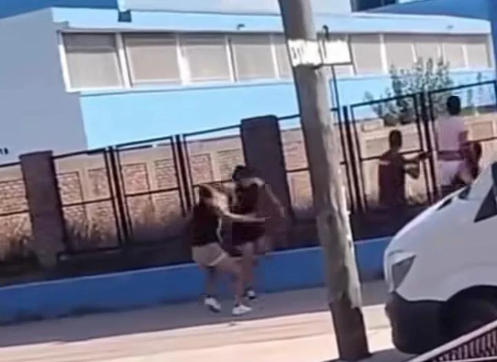 WhatsApp Image 2026-03-12 at 10.35.16