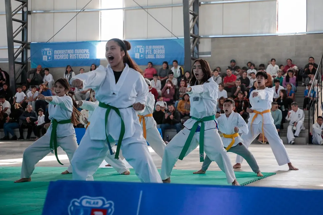 Liga Municipal de Taekwondo 3