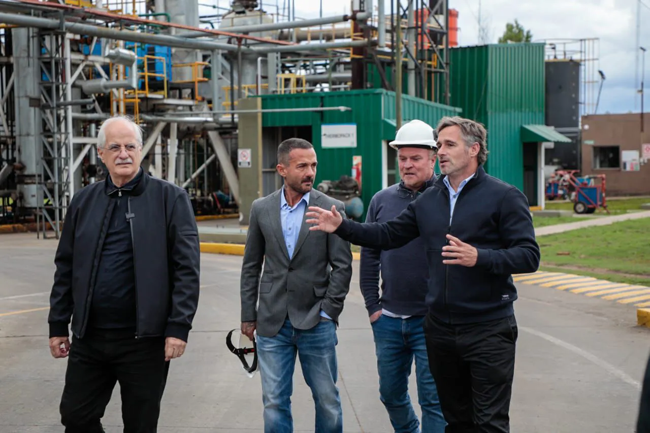 WhatsApp Image 2025-10-06 at 20.05.50