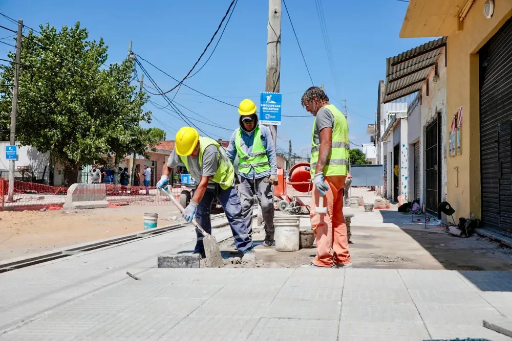 WhatsApp Image 2025-01-31 at 11.09.11