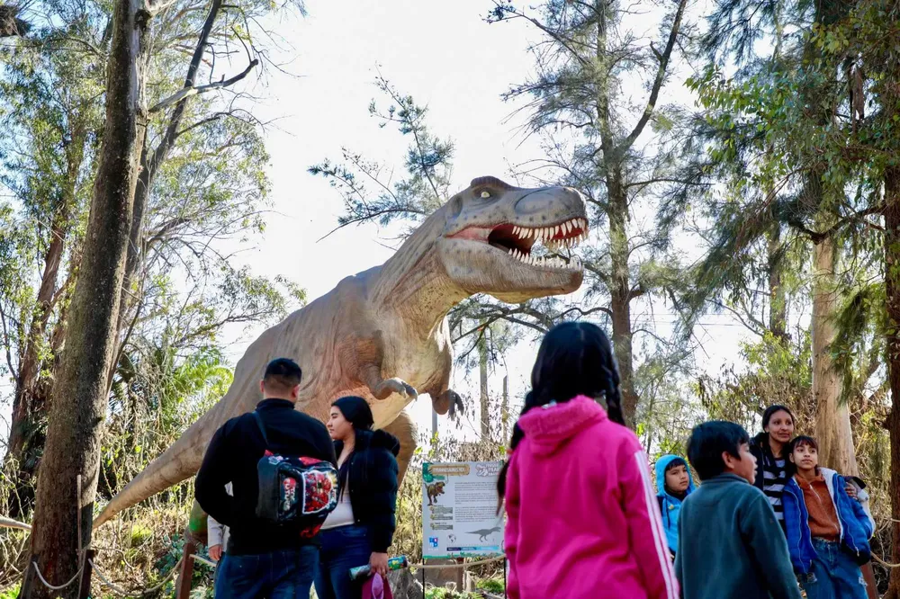 WhatsApp Image 2025-07-19 at 18.50.01