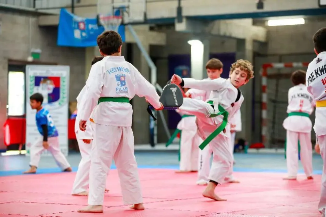 Taekwondo 2