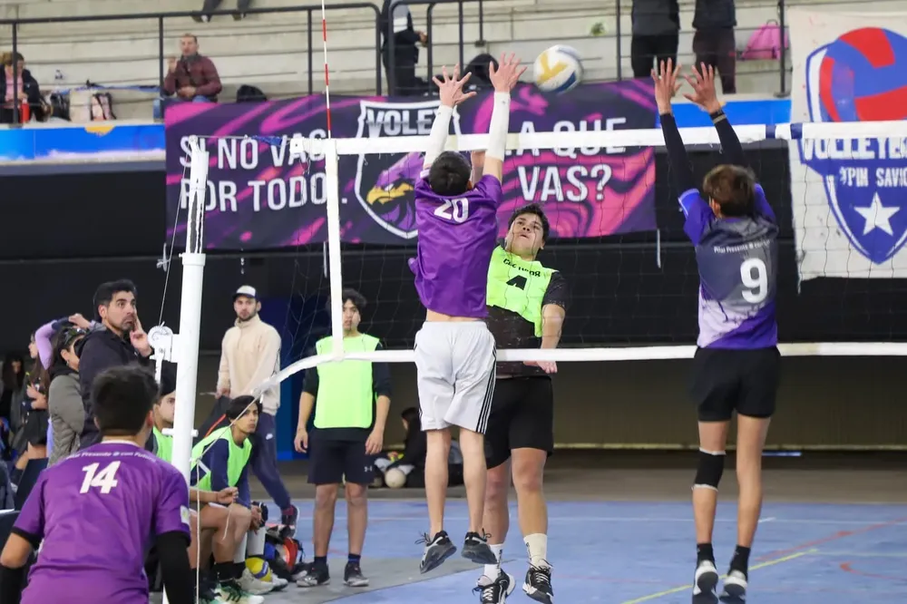 Liga Municipal de Voley (1)