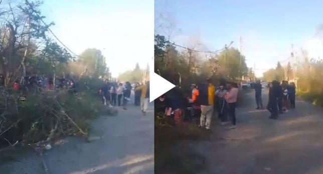 WhatsApp Image 2023-09-26 at 10.17.12