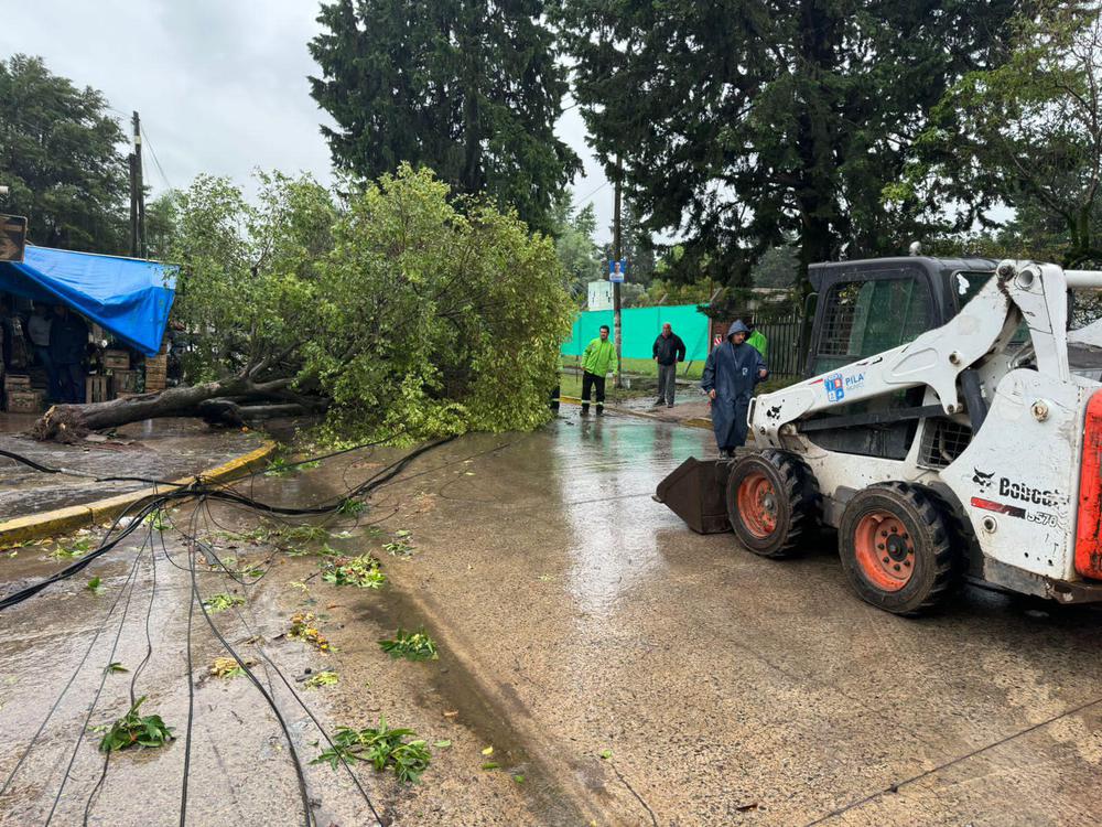 WhatsApp Image 2023-12-18 at 10.18.11