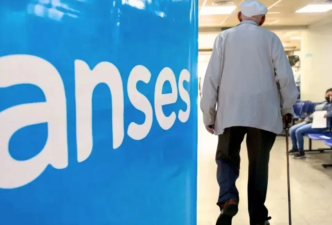 WhatsApp Image 2025-02-06 at 15.39.17 (1)