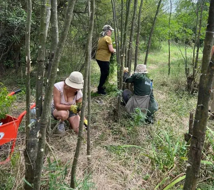 WhatsApp Image 2025-04-01 at 09.09.28