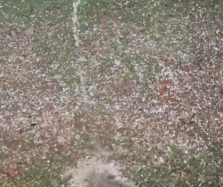 WhatsApp Image 2026-02-12 at 08.23.42